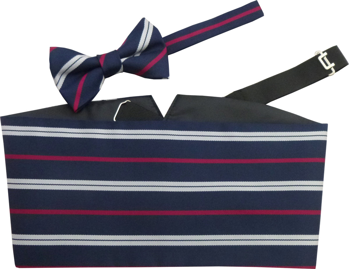 Cravatta A Farfalla In Seta (pre-annodata) Del Royal Corps Of