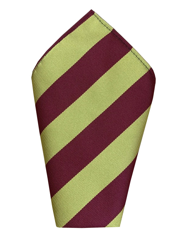 royal hussars tie
